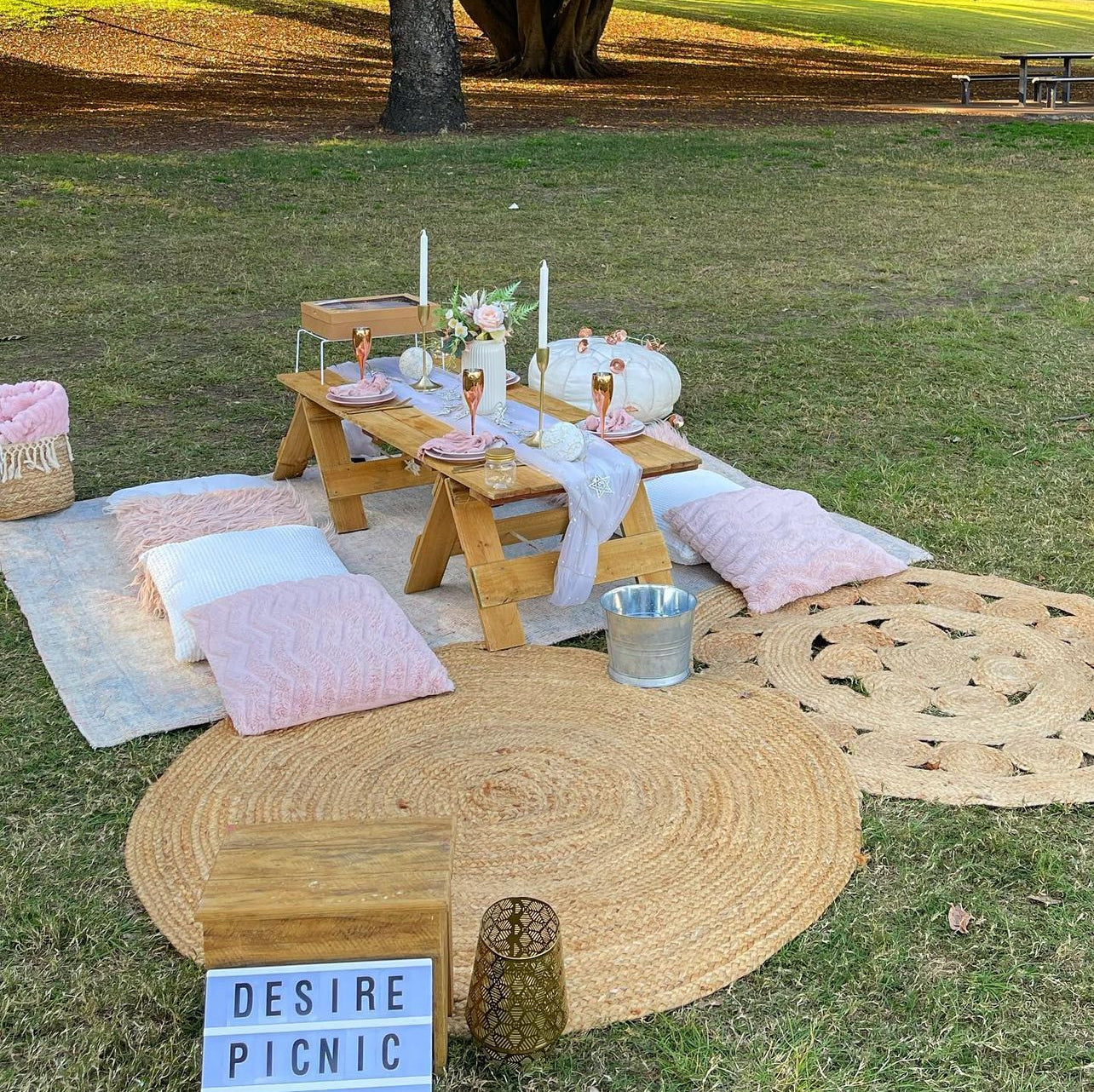 Full setup, small group picnics 3-9 people